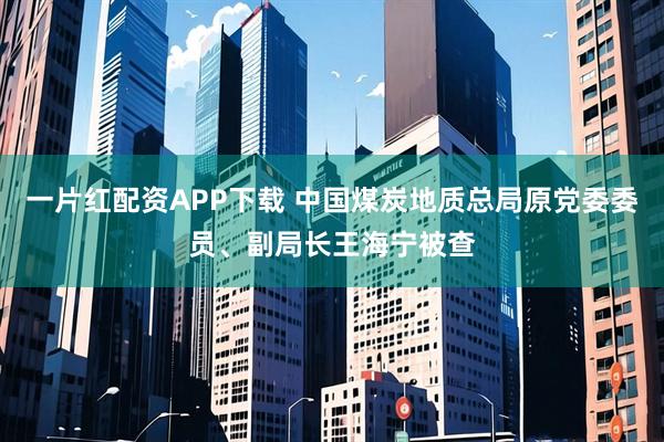一片红配资APP下载 中国煤炭地质总局原党委委员、副局长王海宁被查