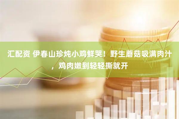 汇配资 伊春山珍炖小鸡鲜哭！野生蘑菇吸满肉汁，鸡肉嫩到轻轻撕就开