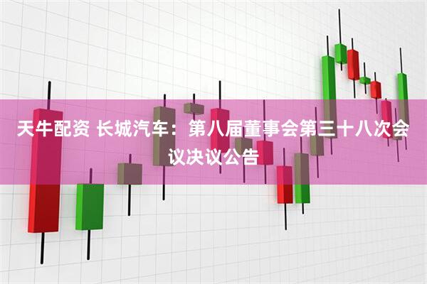 天牛配资 长城汽车：第八届董事会第三十八次会议决议公告